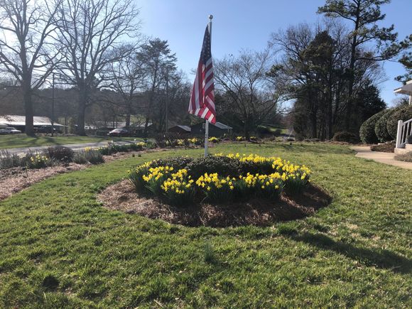 Daffodils were blooming everywhere.