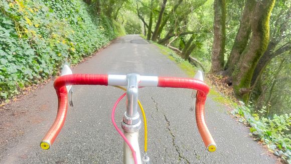 Gratuitous behind the bars, coming down butters Road