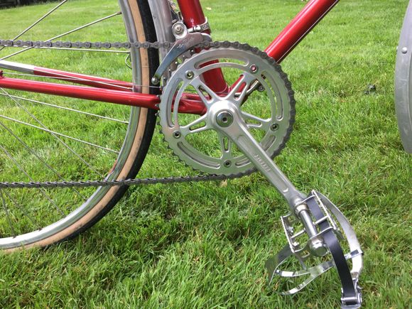 Superbe resembles the campy