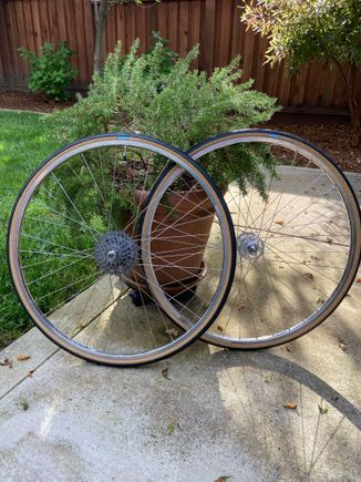 Finished the wheel build.