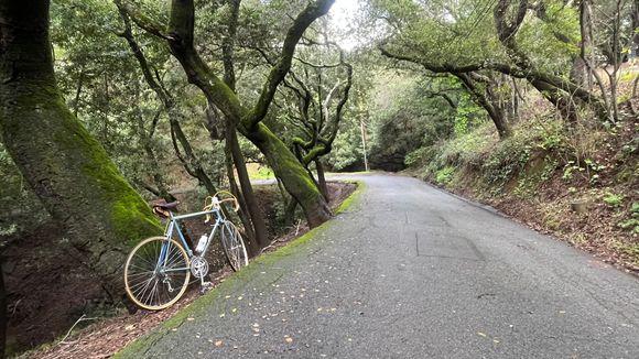 Bike on a bridge near the Cal Life Sciences building.