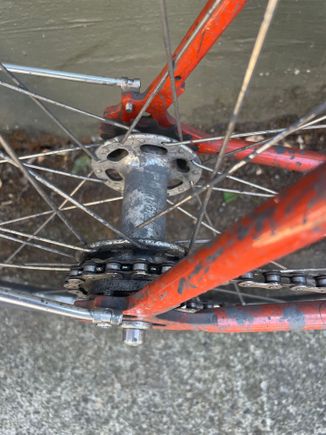 White rear hub