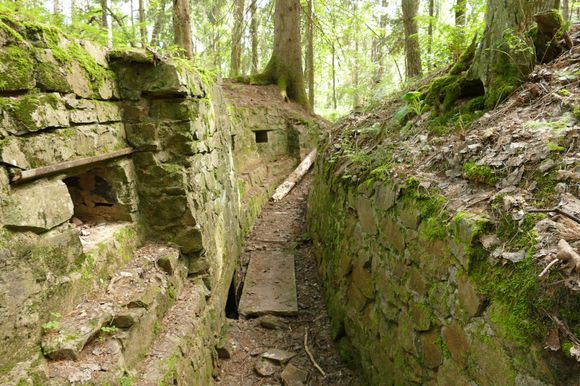 German trenchworks in the Vosges mountains of eastern France