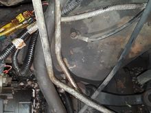 Same device showinf the cut tube. 