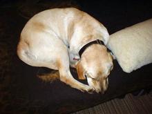 DSCF0005