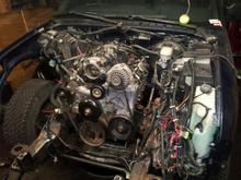 Tight fit but it sits under the stock hood.