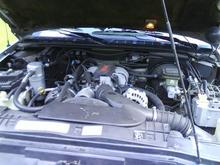4.3L v6 good lil chevy power house..... but its time to make this a big boy truck.... hello v8