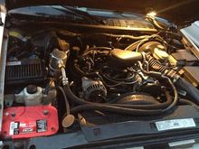 Clean Under the hood.. Optima Red Top 800CCA saving up for a K&amp;N Cold Air Intake