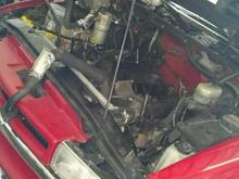 i changed the intake gasket and hit the deer 45 min after i got finished