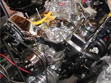 Bad Bow - Birthday present to me and Badbow