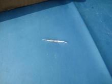 where the fan hit the hood