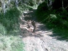 This actually a road not maintained of course other than when the local 4WD club has a working bee once or twice a year. Road is situated about an hour inland from Stratford in Taranaki on the west coast of the North Island of NZ. Good hunting and great 4WDing