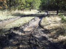 I've been up here almost to many times...