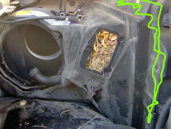 The green lines are where the evaporator is.