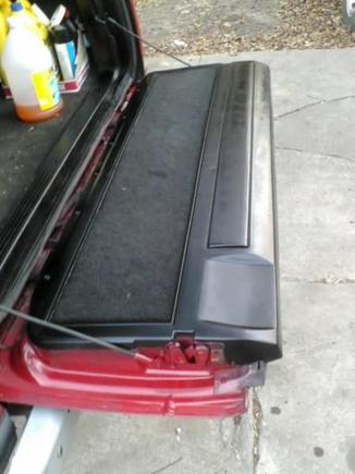 rear panel