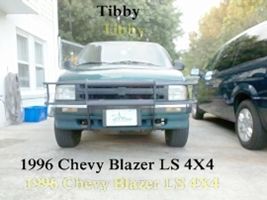 Brushguard bedlinered