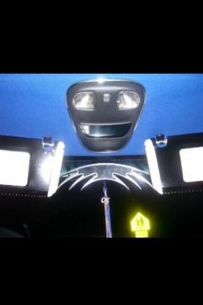 The sun visors painted and new Billet rearview mirror.