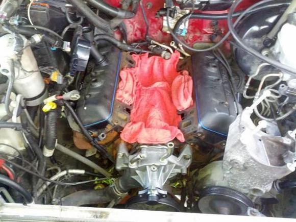 First thing to do before ever getting it on the road, a little gasket repair and other preventative maintenance :)