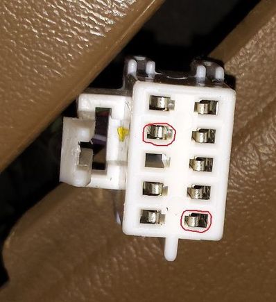 Mirror switch with hot pins circled in red.