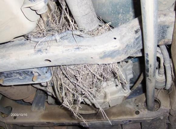 looks like a damn bird was nesting in there.