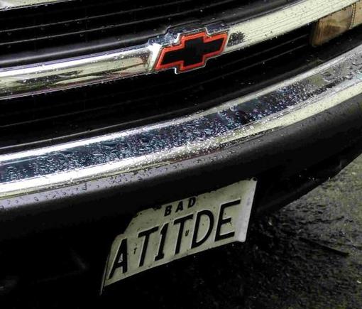 Bad Attitude

Gets a little bit of attention!!