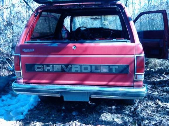 back bumper and tail lights in good shape