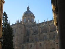 Salamanca Cathedral

Rosemary