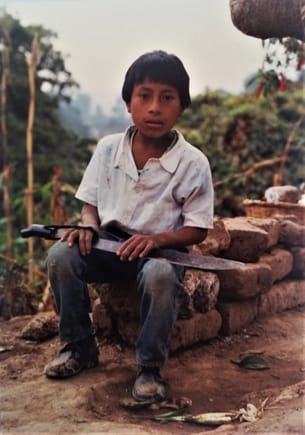 A young cousin. This boy is 8 - 10 years old. Works in the fields after a few hours of school.