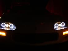 New Halo Lights =)