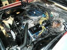 My Car 003