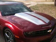 new camaro