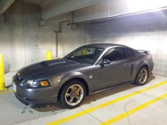 My 40th Anniversary Mustang GT