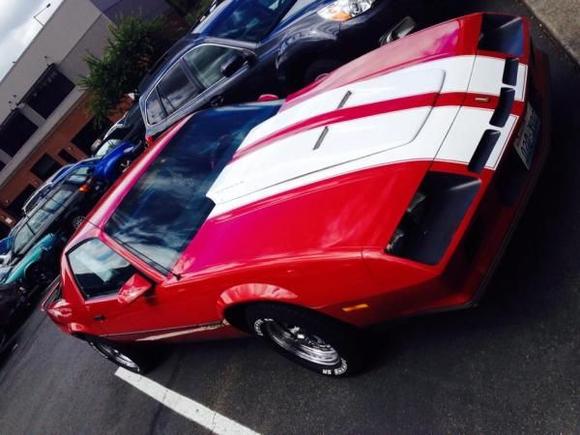 1536502 4281761580146 2303230239066100597 n (1)