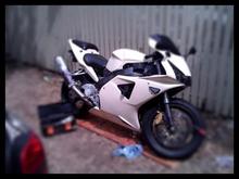 Sneak Peek of the new paint.