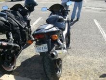 My rear end in serious need of an undertail. Any suggestions?