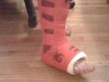 cast2