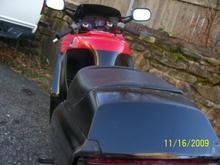 tail angle, shows how healthy looking the seat is