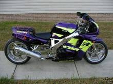 purp rr