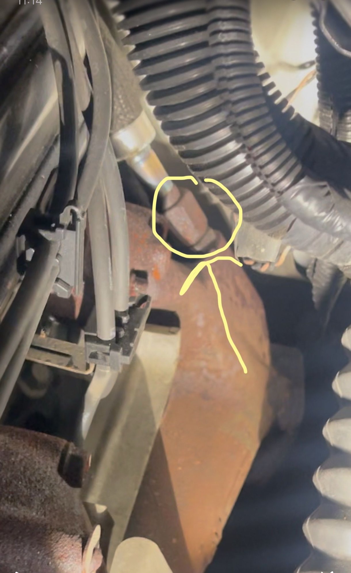 does anyone know what this hose adapter is for? its leaking oil. its on the driver side rear block and its above the oil housing. 