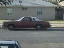 the cutlass