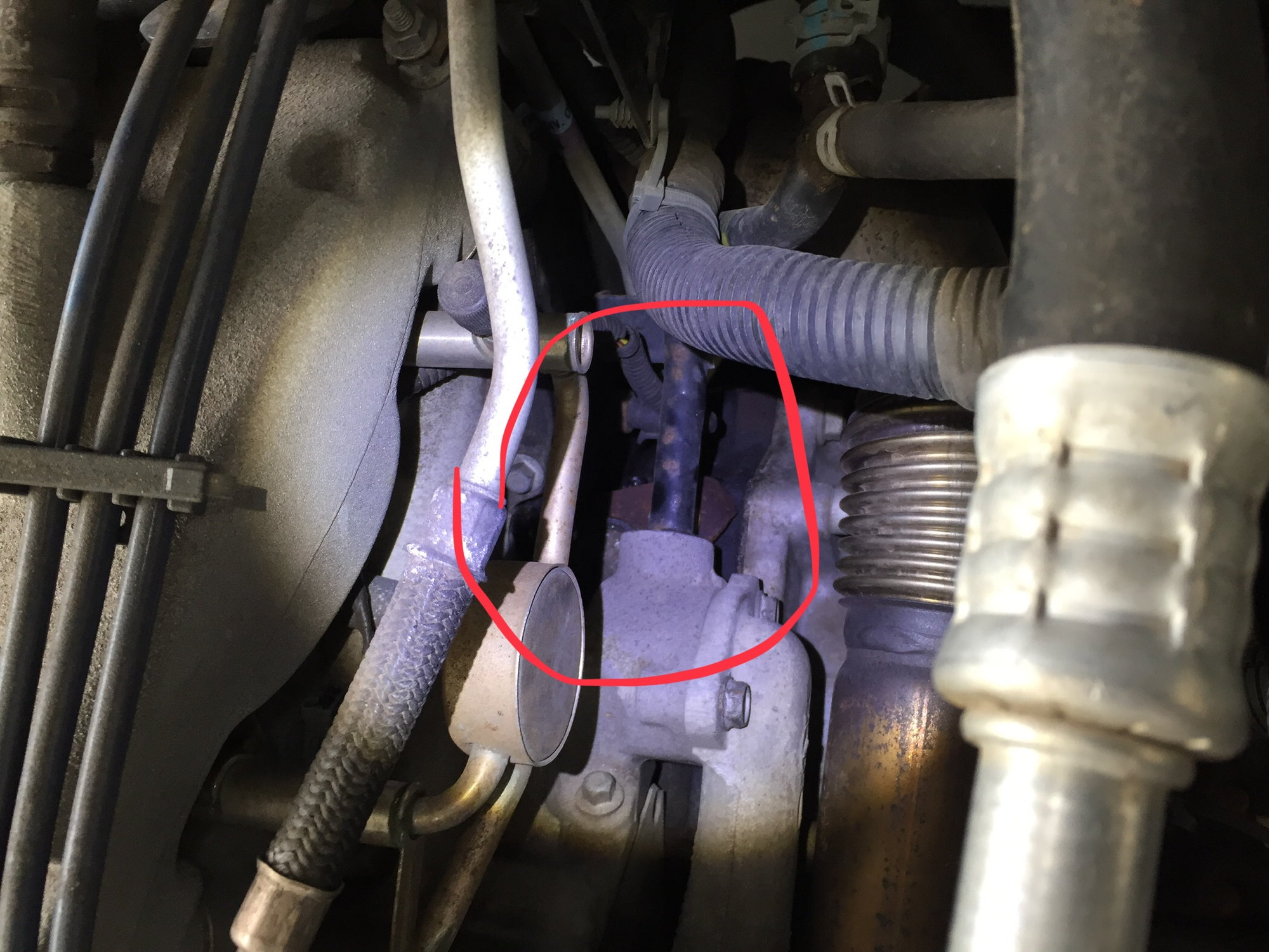 car leaking coolant from below