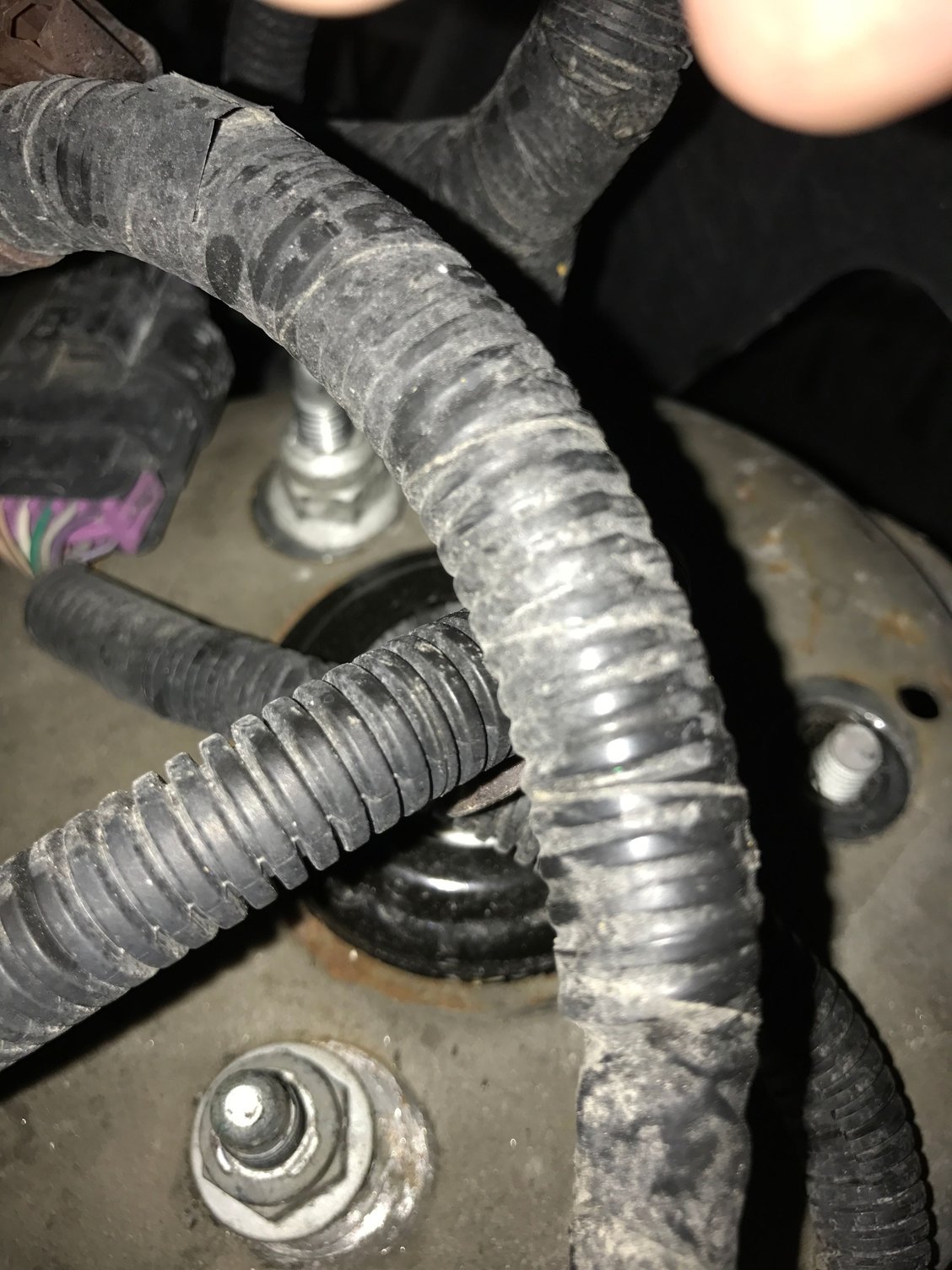 Why does it look like my struts are sliding back and fourth Inside the