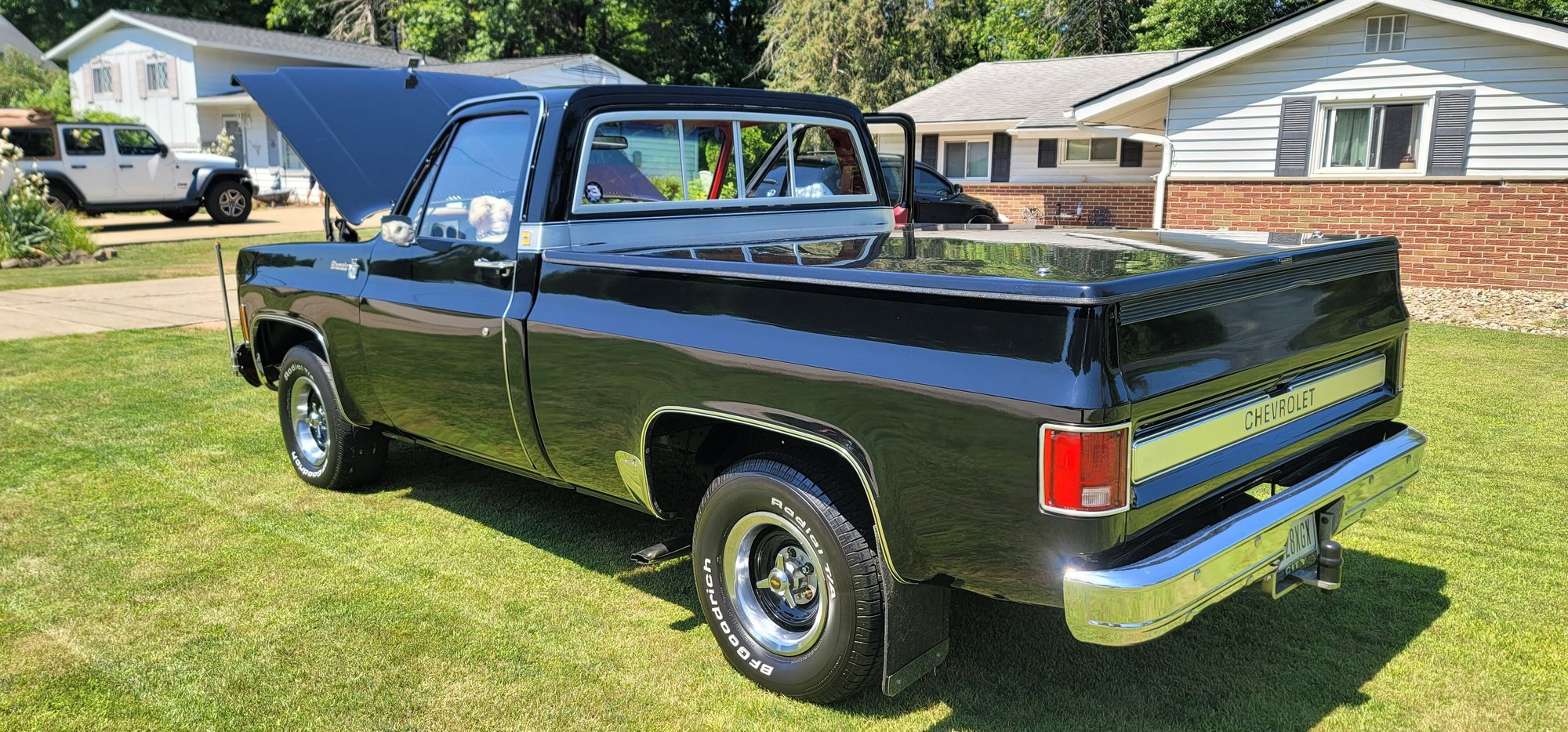 1979 Chevrolet C10 - Chevy C10 - Used - VIN 1g1fh1r78j0179097 - 66,000 Miles - 8 cyl - 2WD - Automatic - Truck - Black - Mogadore, OH 44260, United States