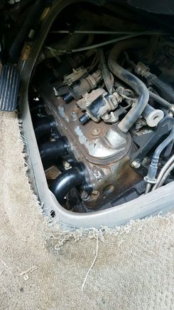Freshly installed