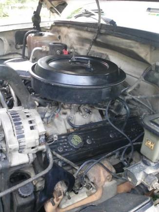 my 350 v8