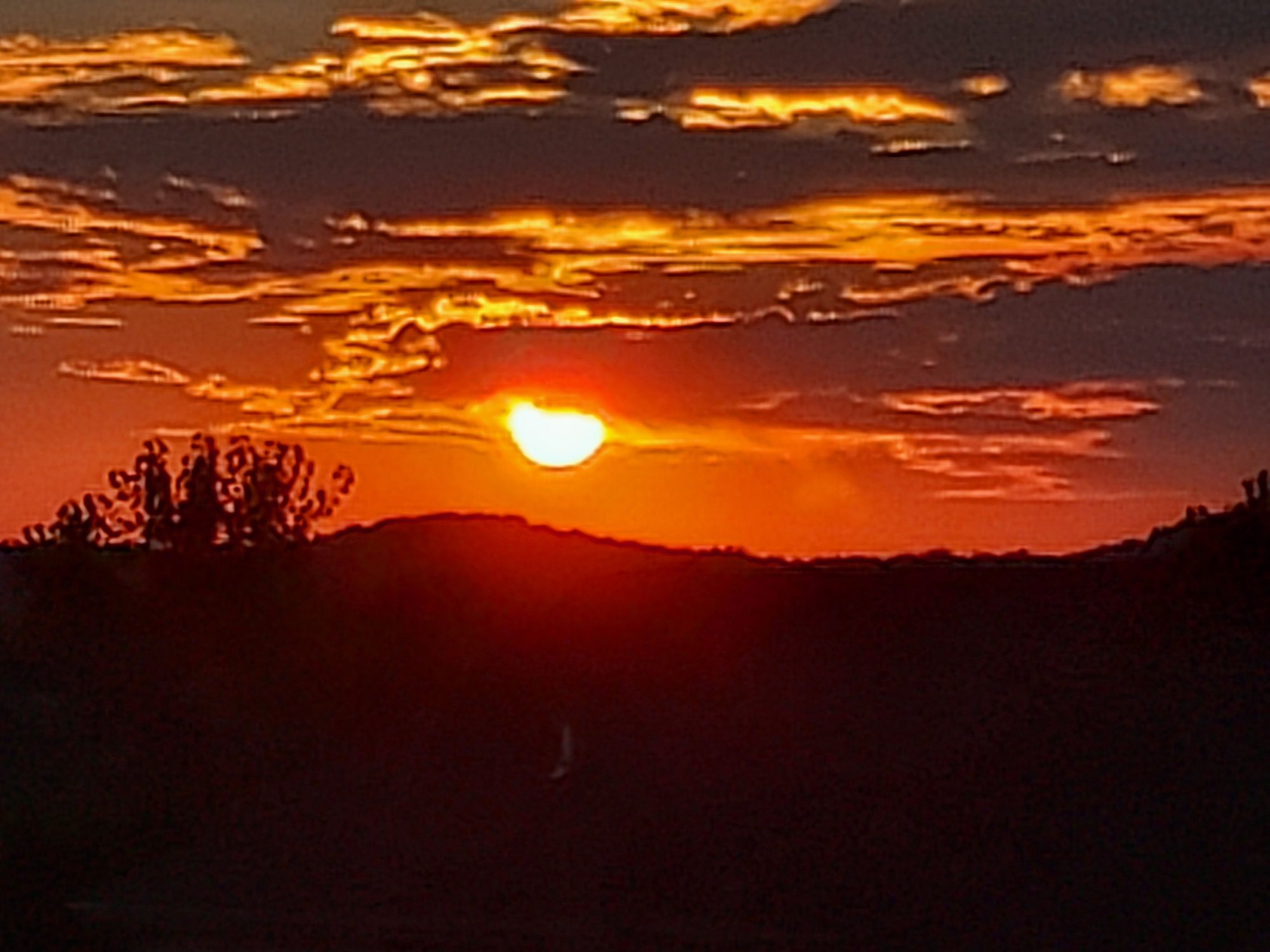 Absolutely beautiful sunset!