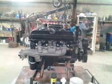 Side view of new 455 engine Balanced with mild cam, Edelbrock Performer intake and other new parts  Rebuilt TH400 transmission with Transgo shift kit gets horses to ground