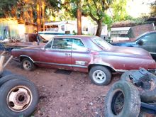 Untitled Album 2025-07-30 16:59:56