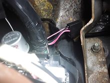 Can connector with black and pink wires, and two pink with white stripe wires in a single slot.