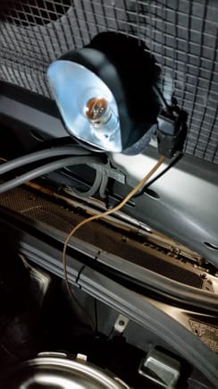 The single brown from the connector powers the underhood light
